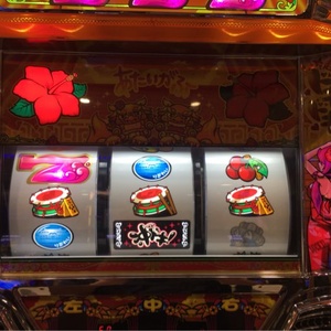 パチンコパチスロ珍動画