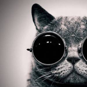 面白い動物大好き【相互フォロー】