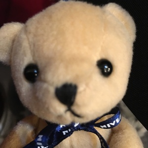 かわいいペット