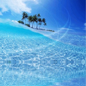 癒しチャンネル