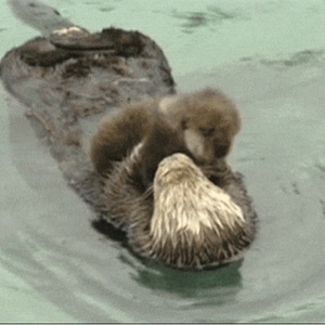 Iceman(アイスマン)