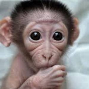 》》Entertainment center《《