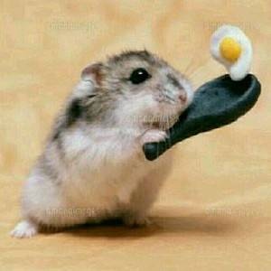 癒やされたい٩(•᎑•*)