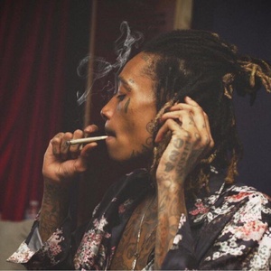 マンチー.D.ジャンキー