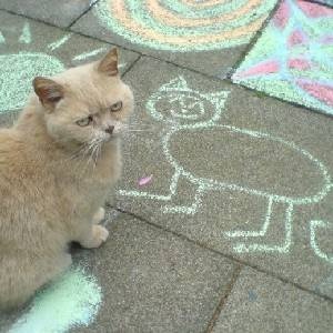 🐾肉球マニア🐾