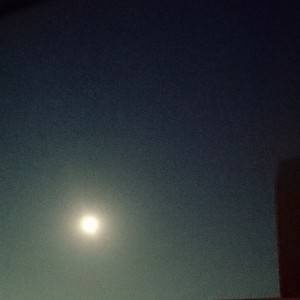 みたらし団子🍡