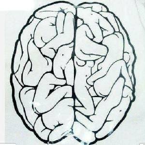 Awesome Viral Videos