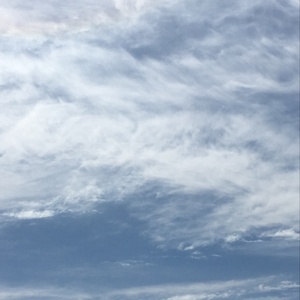 ザ ハプニング集