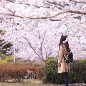 スポバラちゃんねる