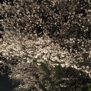 じゃまいがーる