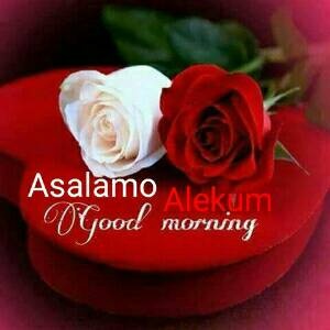 Mohammad Salahuddin Kakar