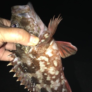 ぶらくり仕掛け