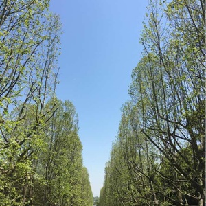 お暇な時間に是非