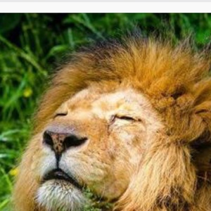 今話題動画毎日あげます。相互フォロー返します。