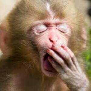 youtub PUNISHER BRASIL 03