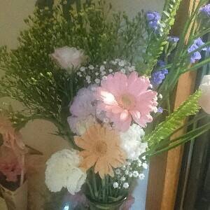 世界衝撃動画...buzz動画で暇潰ししましょう