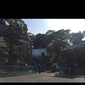 動物が大好きだ！委員会