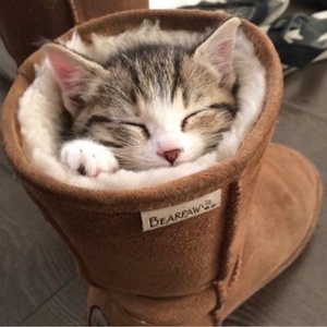 笑いたいときフォロー