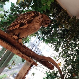 暇つぶしチャンネル