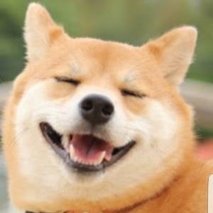 瞬間！！面白！！