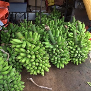 マジやば過ぎ動画TV!フォローバ100%君