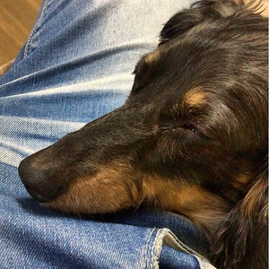 ガールズチャンネル