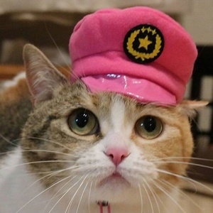 癒しチャンネル