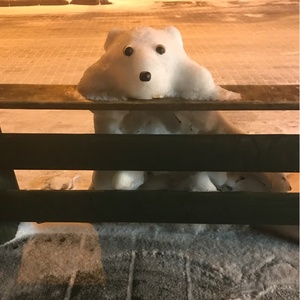 ゴンタクリムゾン