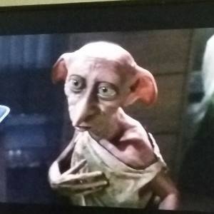 You want funny videos😂