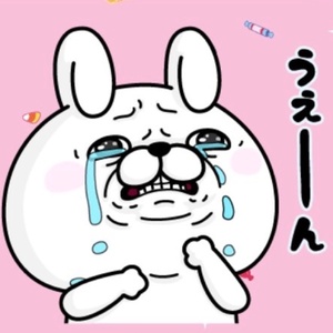 やんちゃなこいぬ