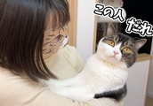 猫になれるアイマスクを着けたママに驚く猫の反応が可愛かったw| BuzzVideoバズビデオ