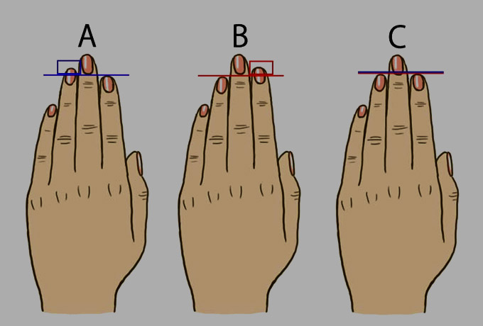 Learn Character By Finger Length å›½é™… è›‹è›‹èµž learn character by finger length å›½é™…