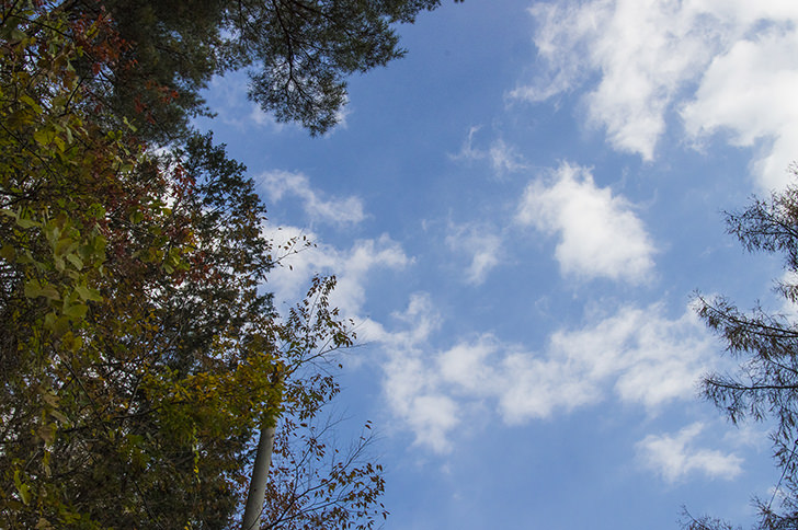 真利子久留米け