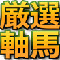 厳選軸馬 競馬
