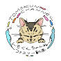 トモくんちゃんぬー!TOMOKUN CHANNEL!