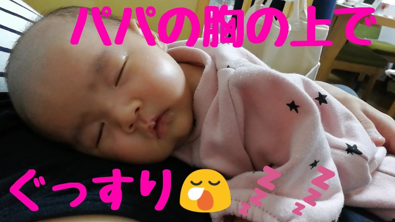 と ちゃん ふわ くん ごう