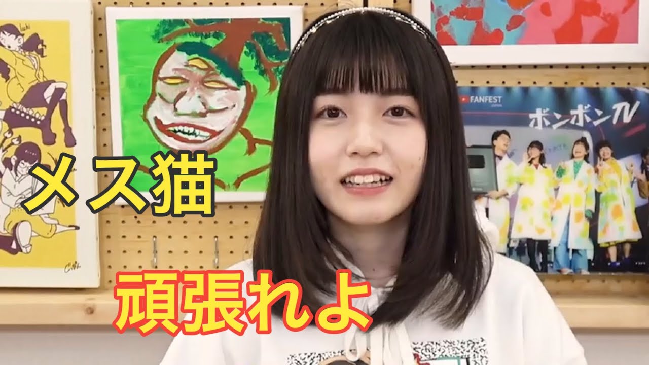 ボンボンTVの新メンバーのどみちゃんと遊んでみた！可愛い！(なっちゃん よっち 女子大生 猫 猫動画 野良猫)