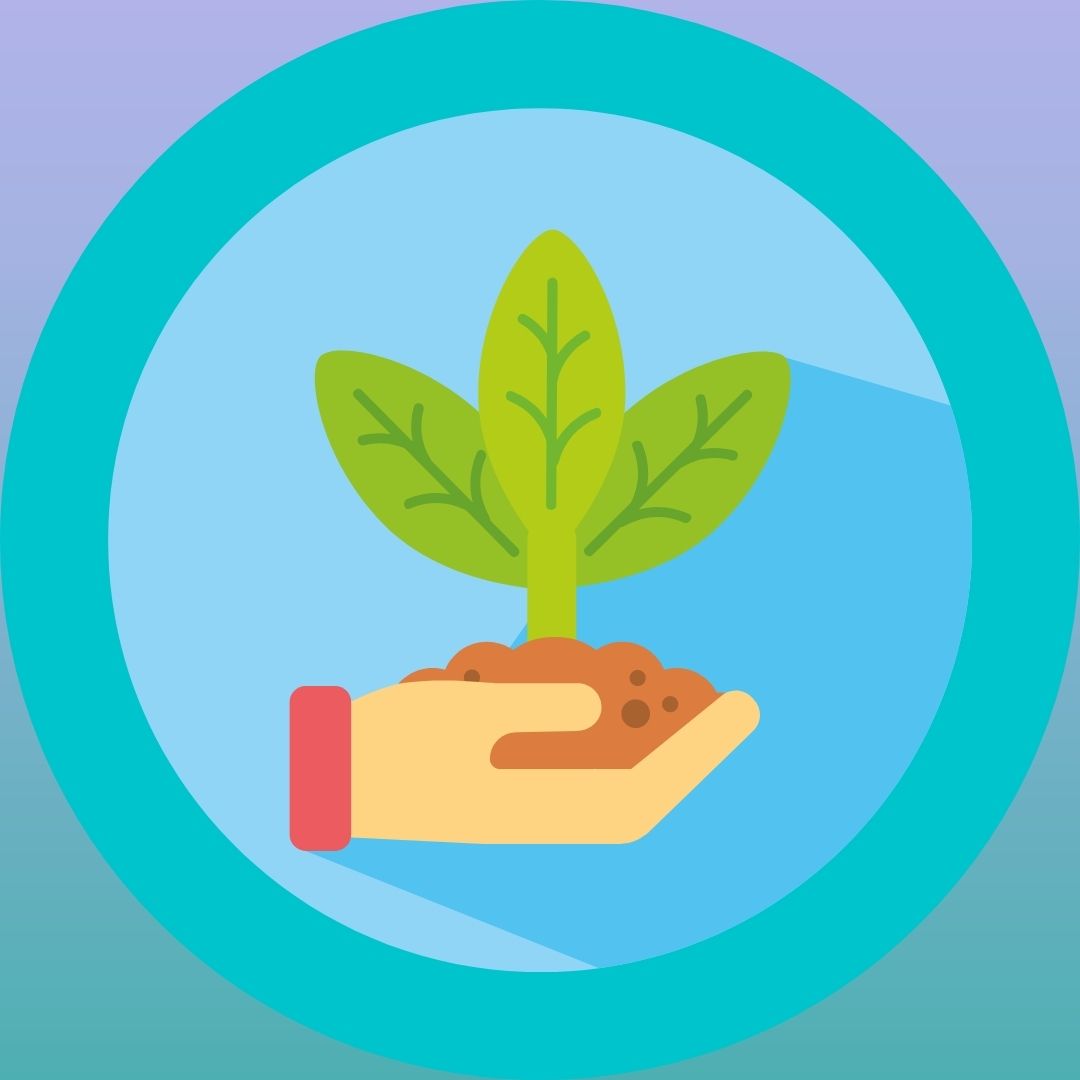 Novas da Agricultura