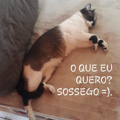 Elaine barbosa dos santos