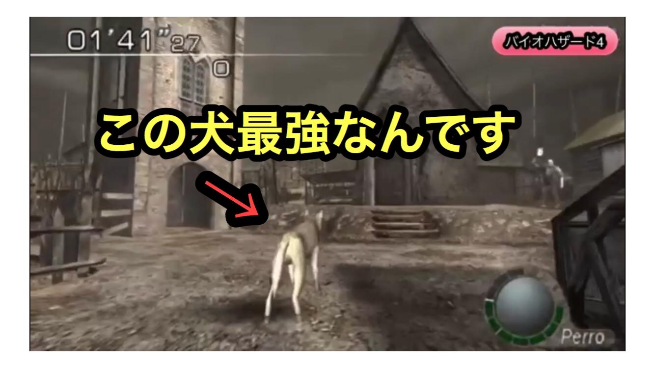 50 グレアバイオ4 犬 その後