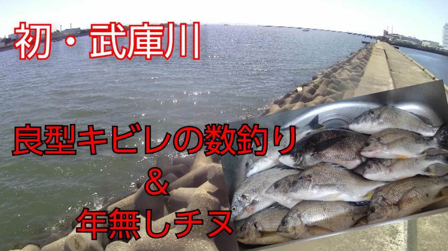 武庫川河口右岸 ぶっこみ釣り