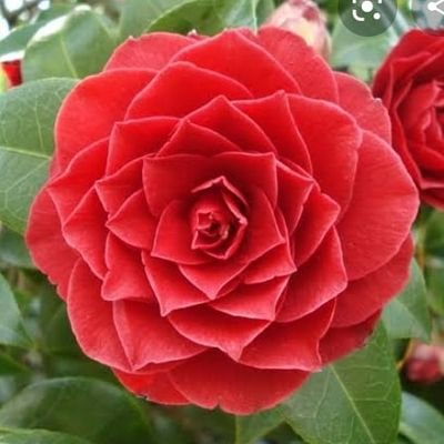 dayane🦅☀️🍡