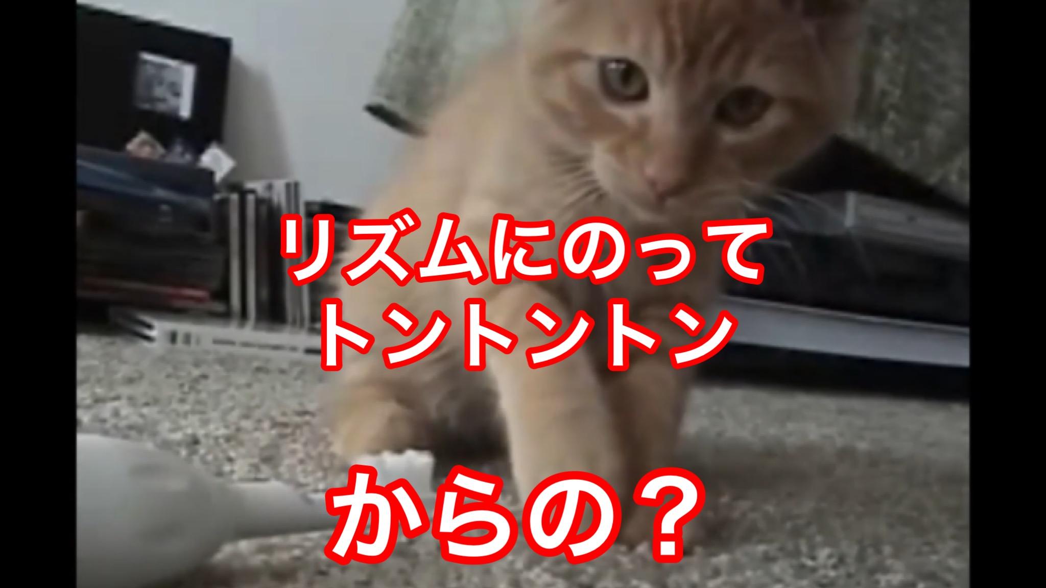 ネコパンチでリズム天国 癒し