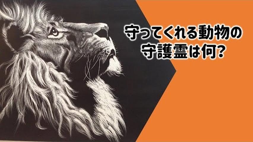 動物 あなたを守ってくれる動物の守護霊を知っていますか