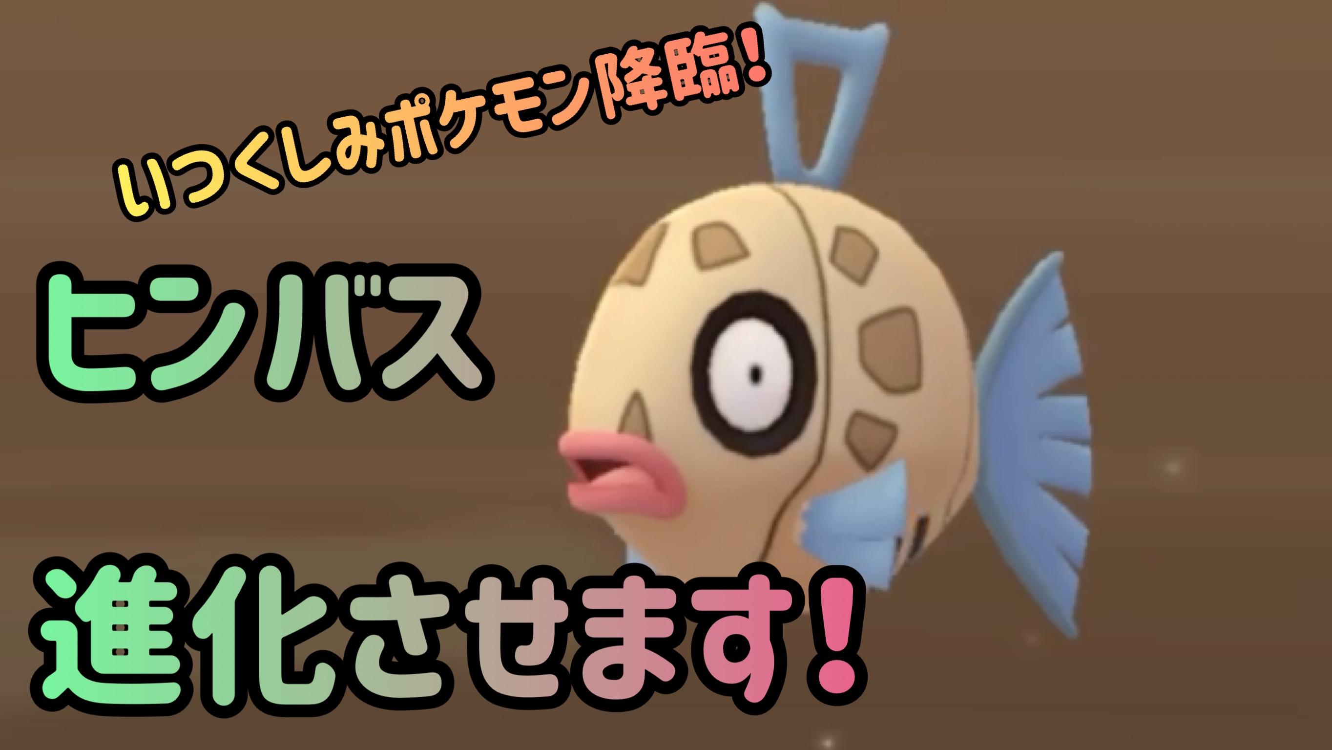 ヒンバス進化させるよ ヒンバス進化させるよ