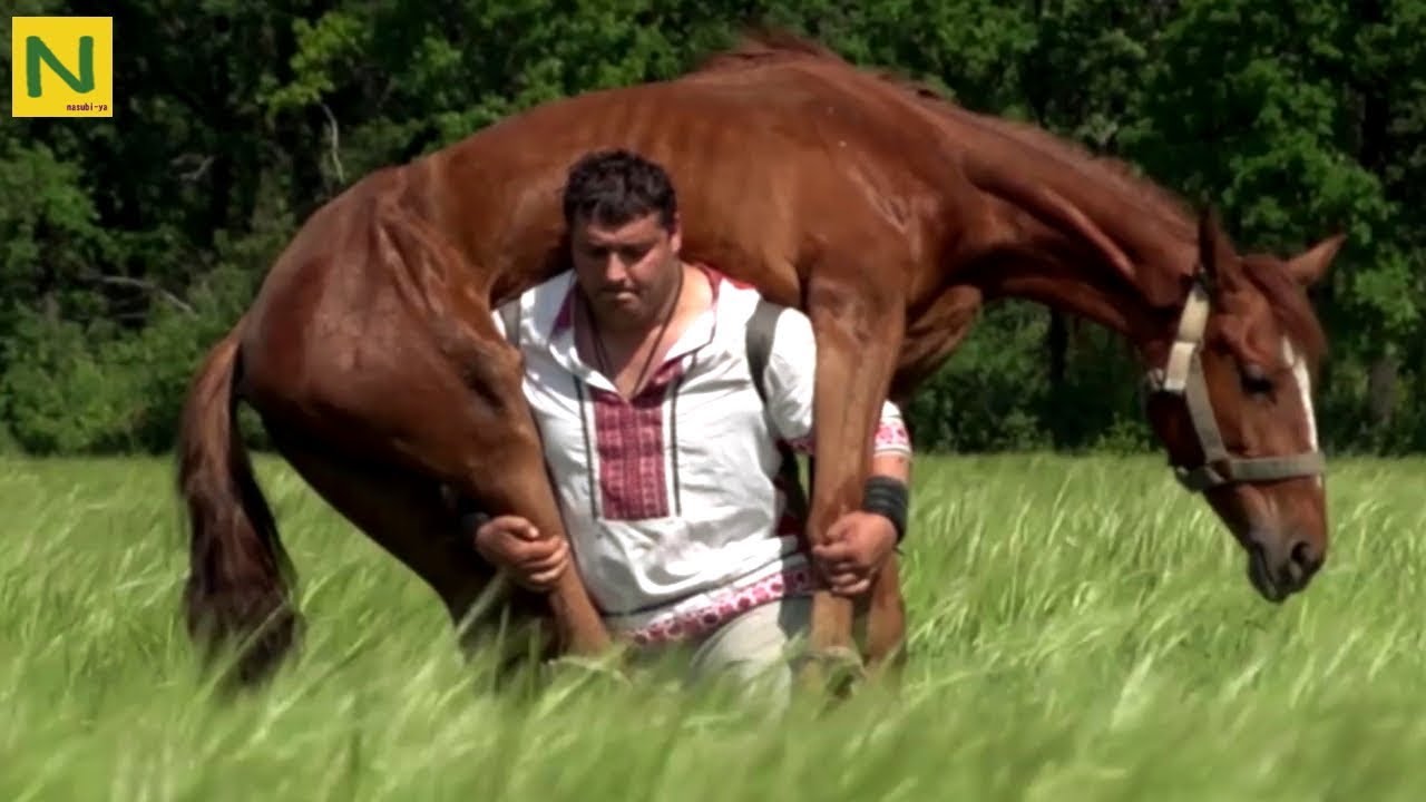 世界最強の男 馬を持ち上げる怪力野郎