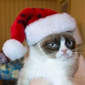 Denis Rodrigues Dos Santos Cardoso