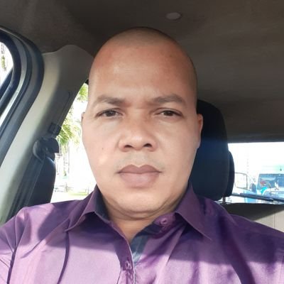 Luís Manuel Araújo