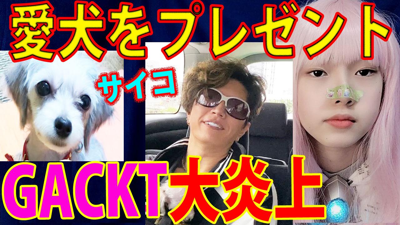 Gacktガクト愛犬を里子に出して大炎上一流芸能人フェンディ