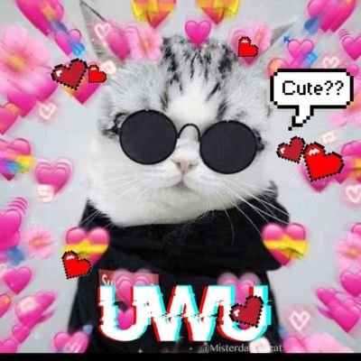 Zainab Salim🇵🇰🇩🇪